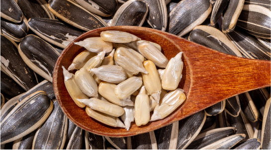 Sunflower Seed Kernel