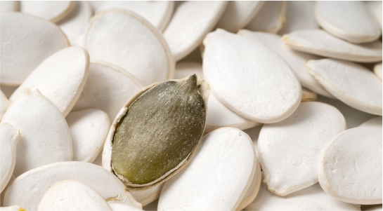 Pumpkin Seed/ Kernel